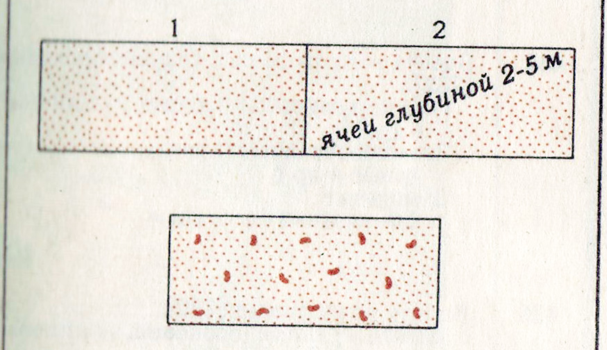 слайд 15